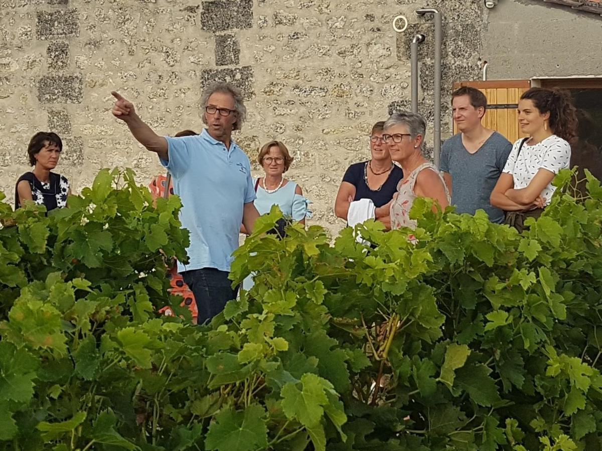 Le Coeur Des Vignes Otel Pauillac Dış mekan fotoğraf