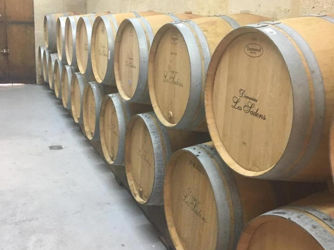 Le Coeur Des Vignes Otel Pauillac Dış mekan fotoğraf